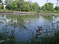 Copie de IMG_0310.jpg